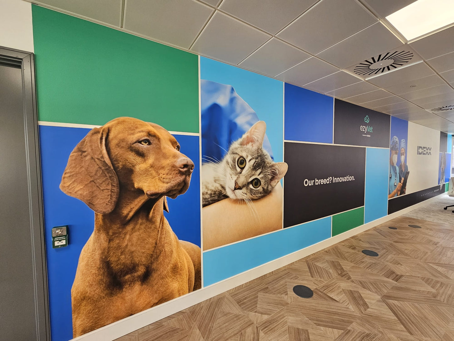 Vinyl Wall Wrap/Covering