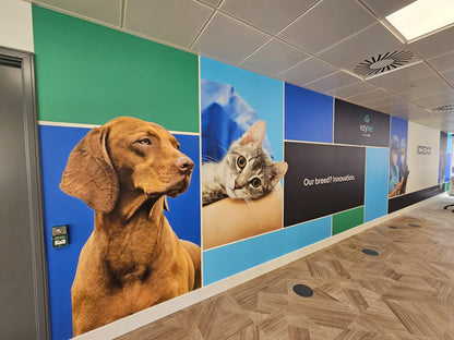 Vinyl Wall Wrap/Covering