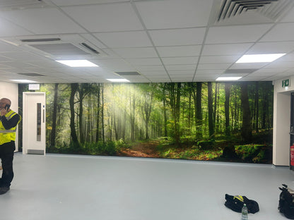 Vinyl Wall Wrap/Covering